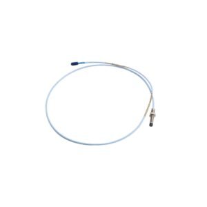 330101-00-17-20-12-05 | Bently Nevada | Proximity Probes