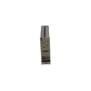Honeywell 10300/1/1 Watch Dog Module