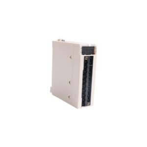 Schneider Electric BMXDDI1602 Digital I/O Module